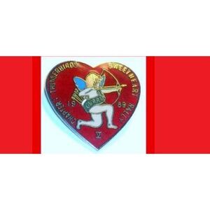 Vintage 1989 GWRRA Thunderbirds MC  5th V Sweetheart Rally Heart pin